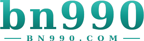 bn990 logo
